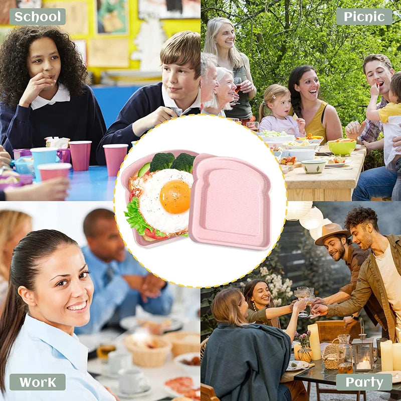 Boite a sandwich - Kabasira